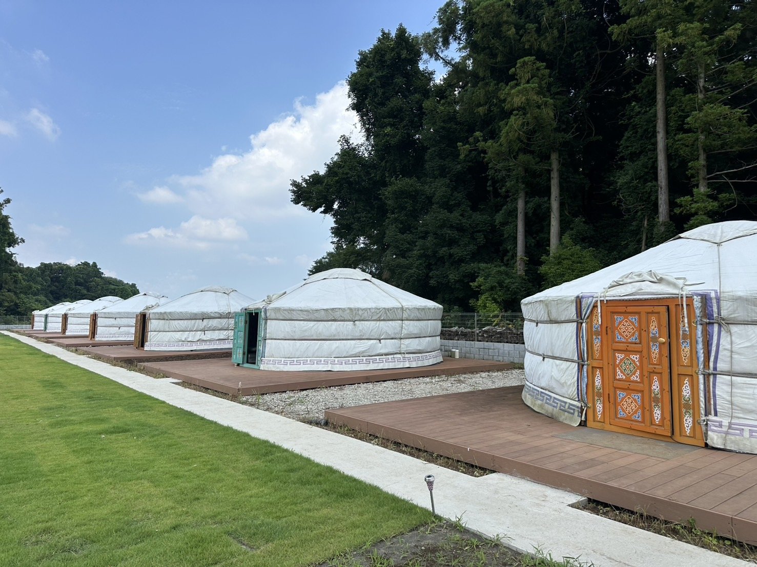 yQOρz؉A̒AʂLȃQԁA₩ȂЂƂƂ