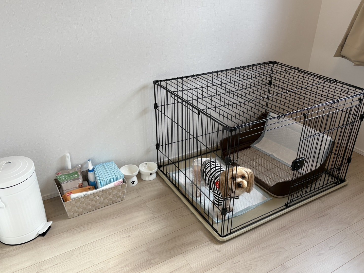 ���^���܂őΉ��̃P�[�W�t��