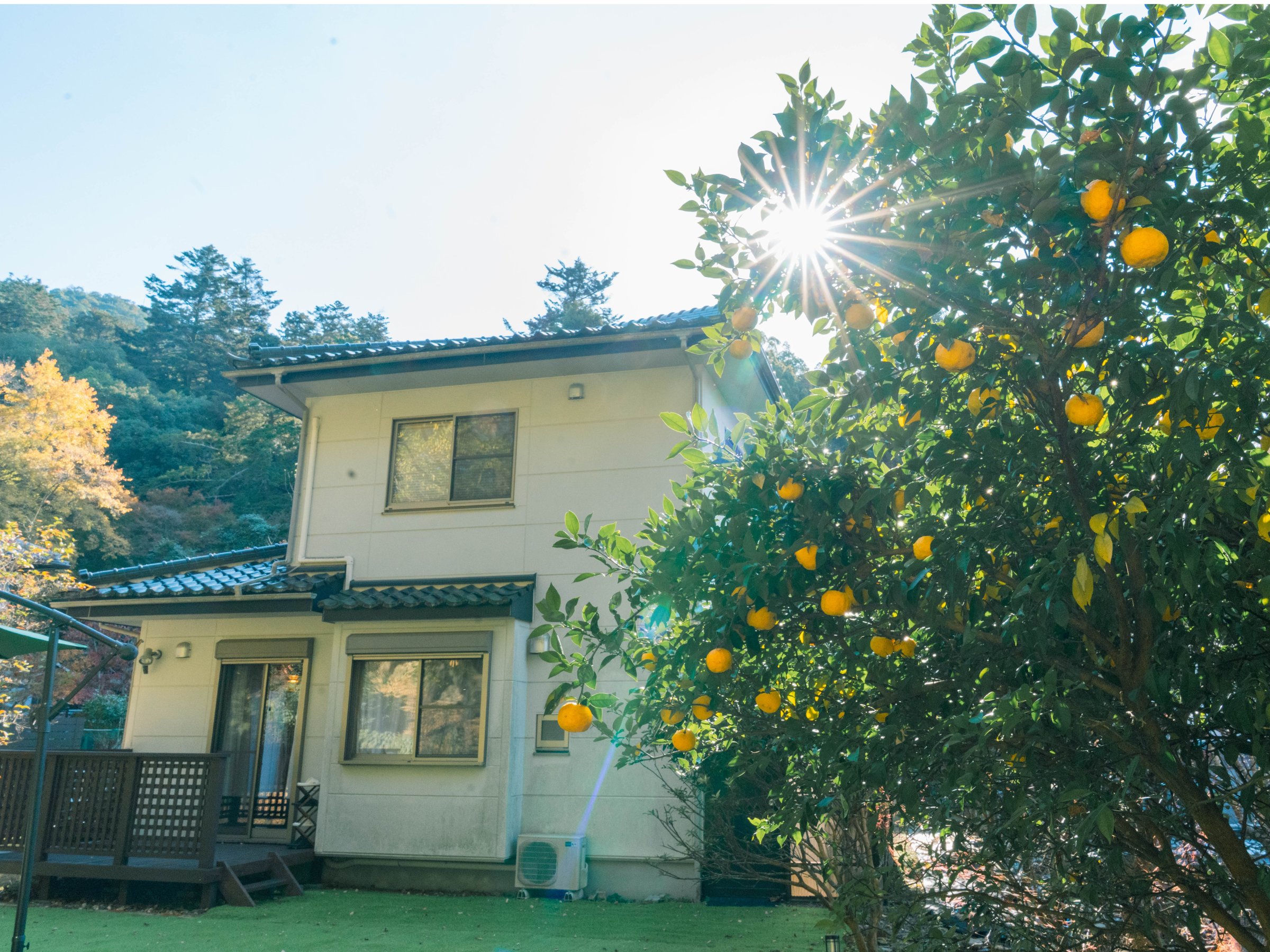 �g���������ɂ́A�L�����BBQ�����y���݂��������܂�