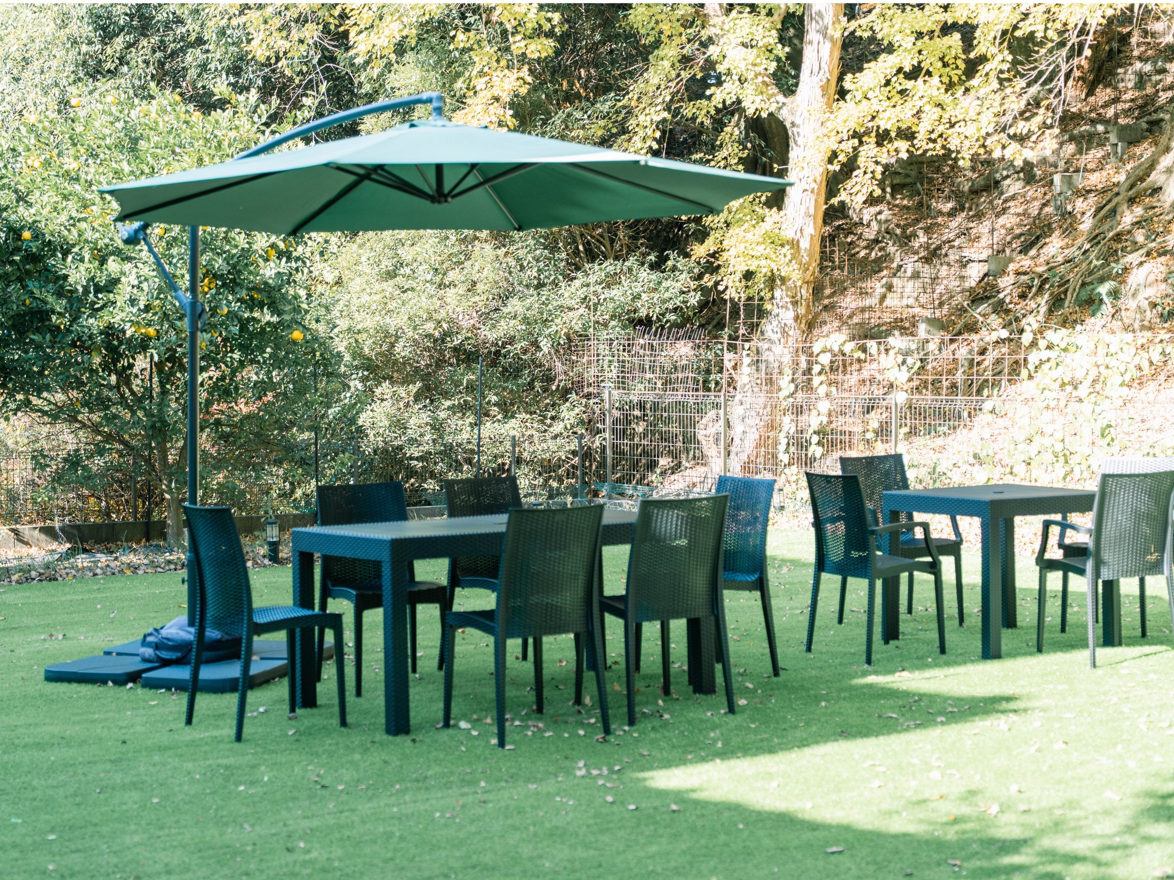 �L�����낪���Ă���A�T�}�[�V�[�Y���ɂ�BBQ�����y���݂��������܂�