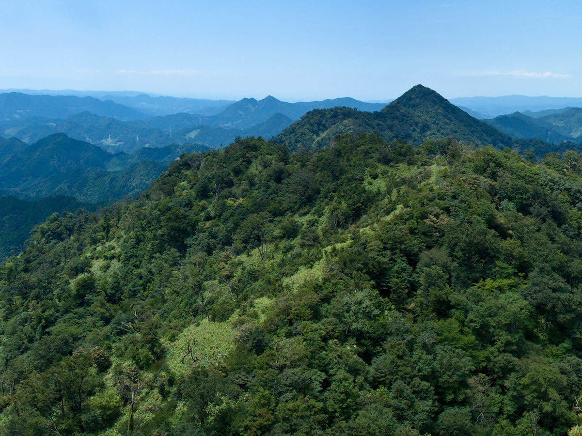 ���������ō���ł���߉ފx��]�ތi�F�B����Ő�i�ɏo����I