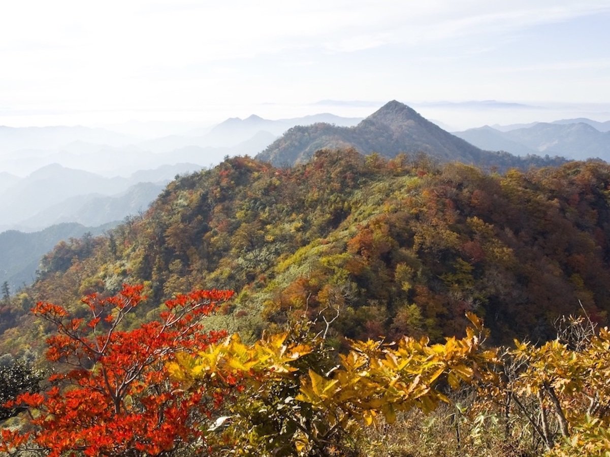 �H�̎߉ފx�B�������ō���̎߉ފx�̍g�t�͐�i�ł��B