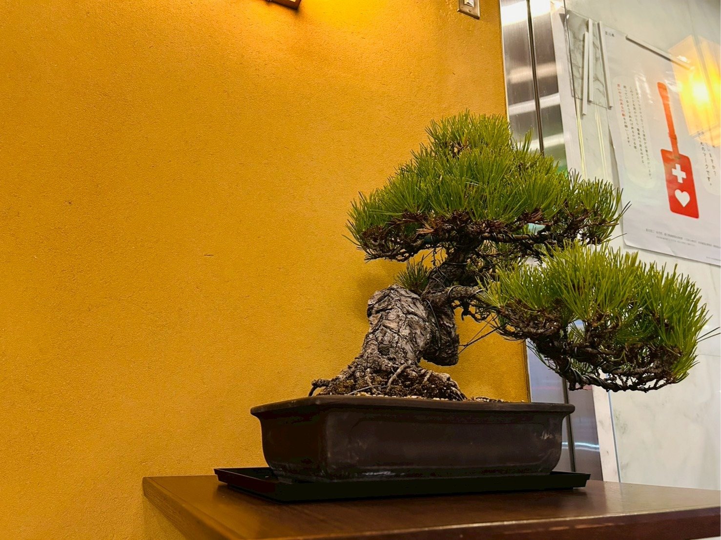 ���삪�ւ�`������ �~�͓W�����@