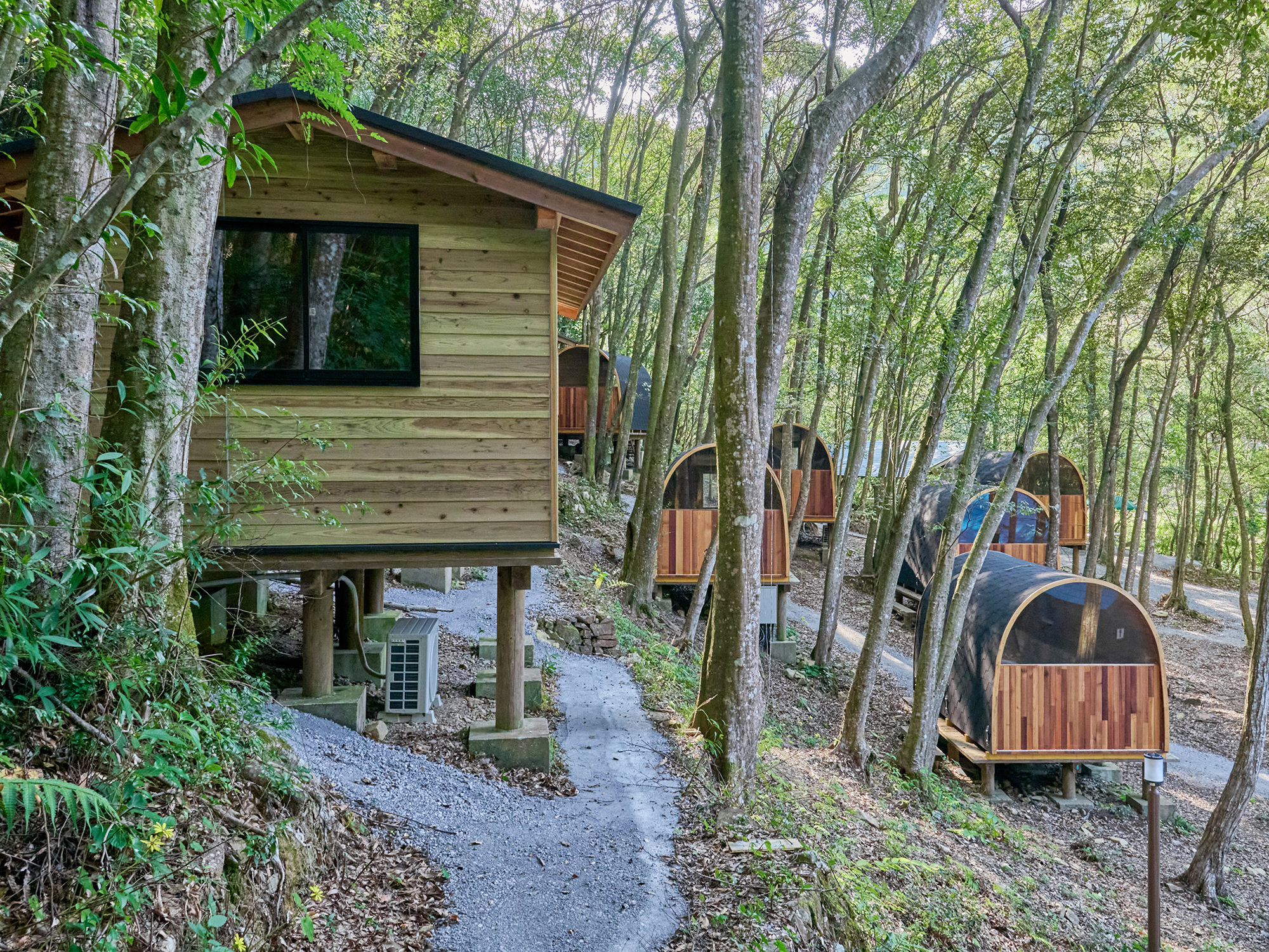 �L���r��