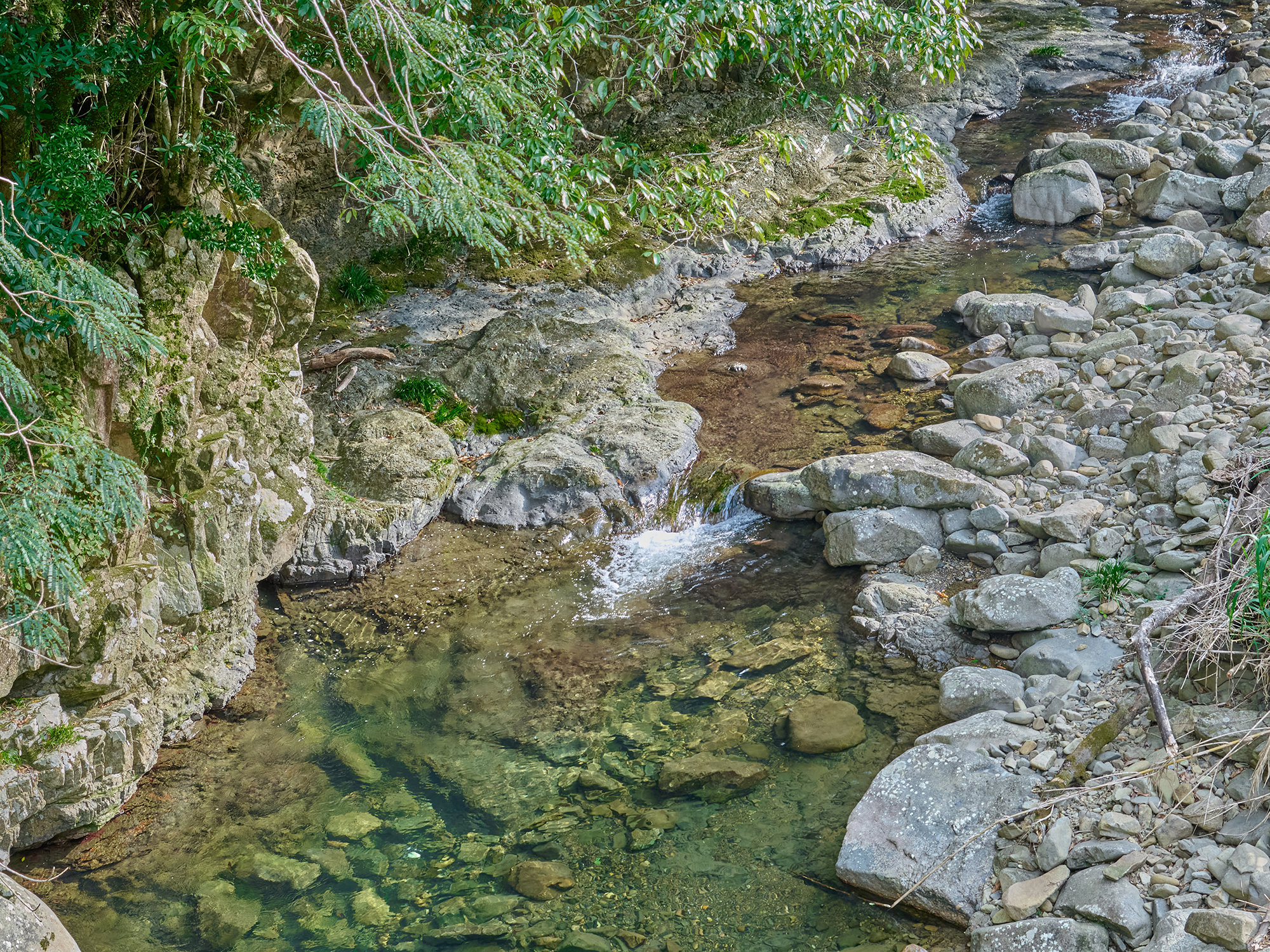 �߂��𗬂���