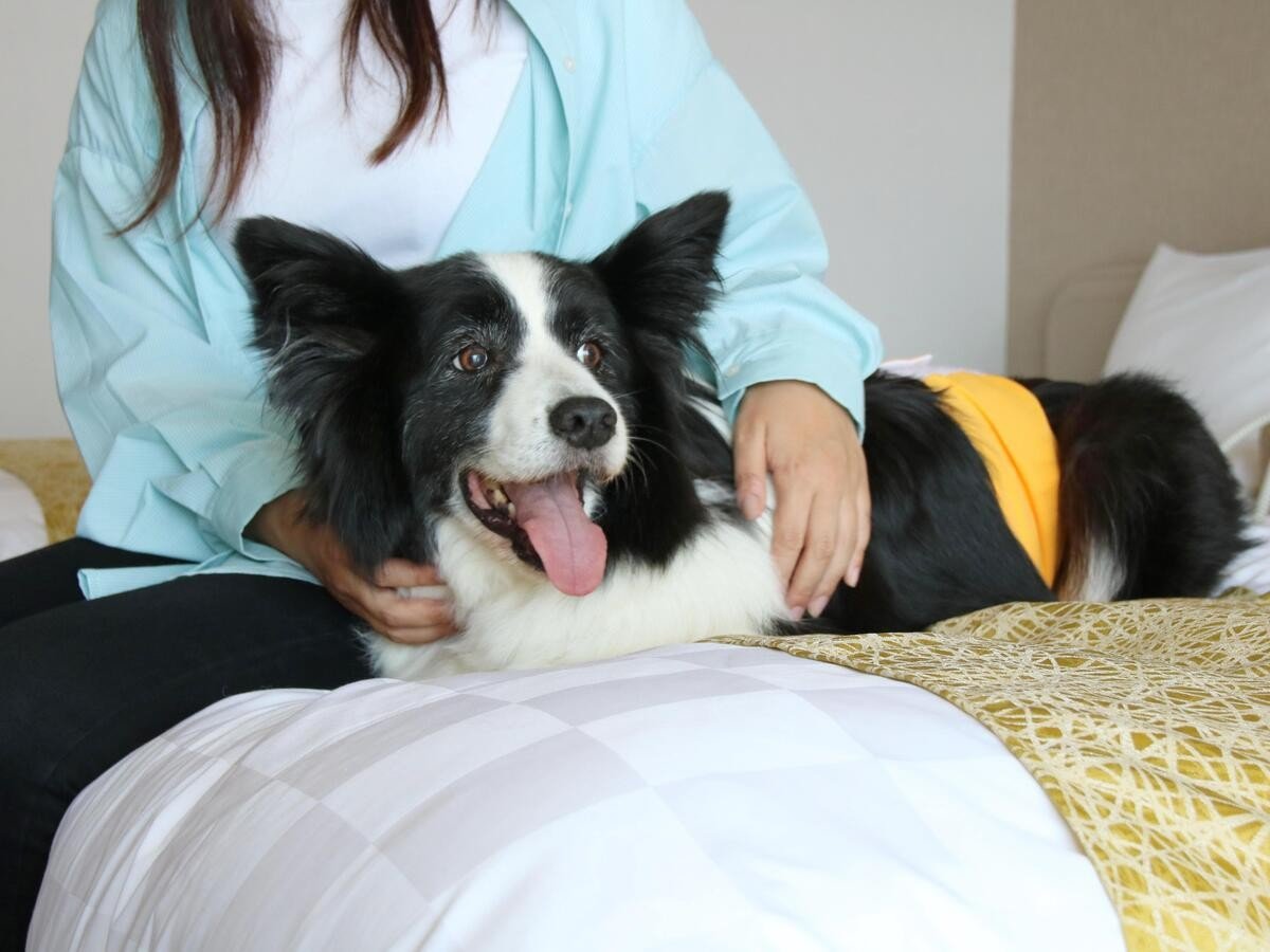 Ƃ̓YQOK}i[EFA̒pK{ƂȂ܂B