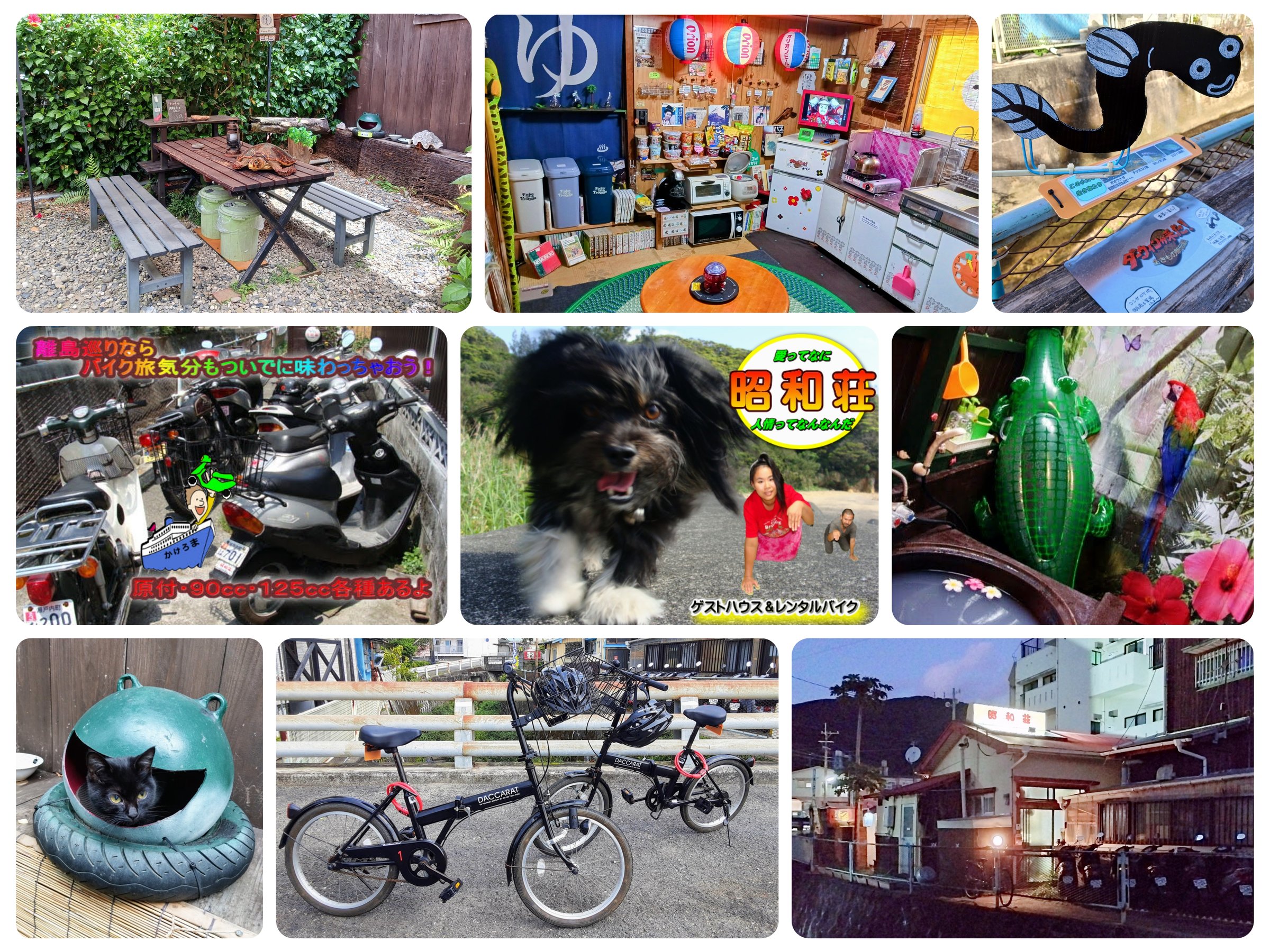 ̋pXy[XE^oCNTCNE܉Eq啗CE}WbNA[̏aȂǂ̎ʐ^