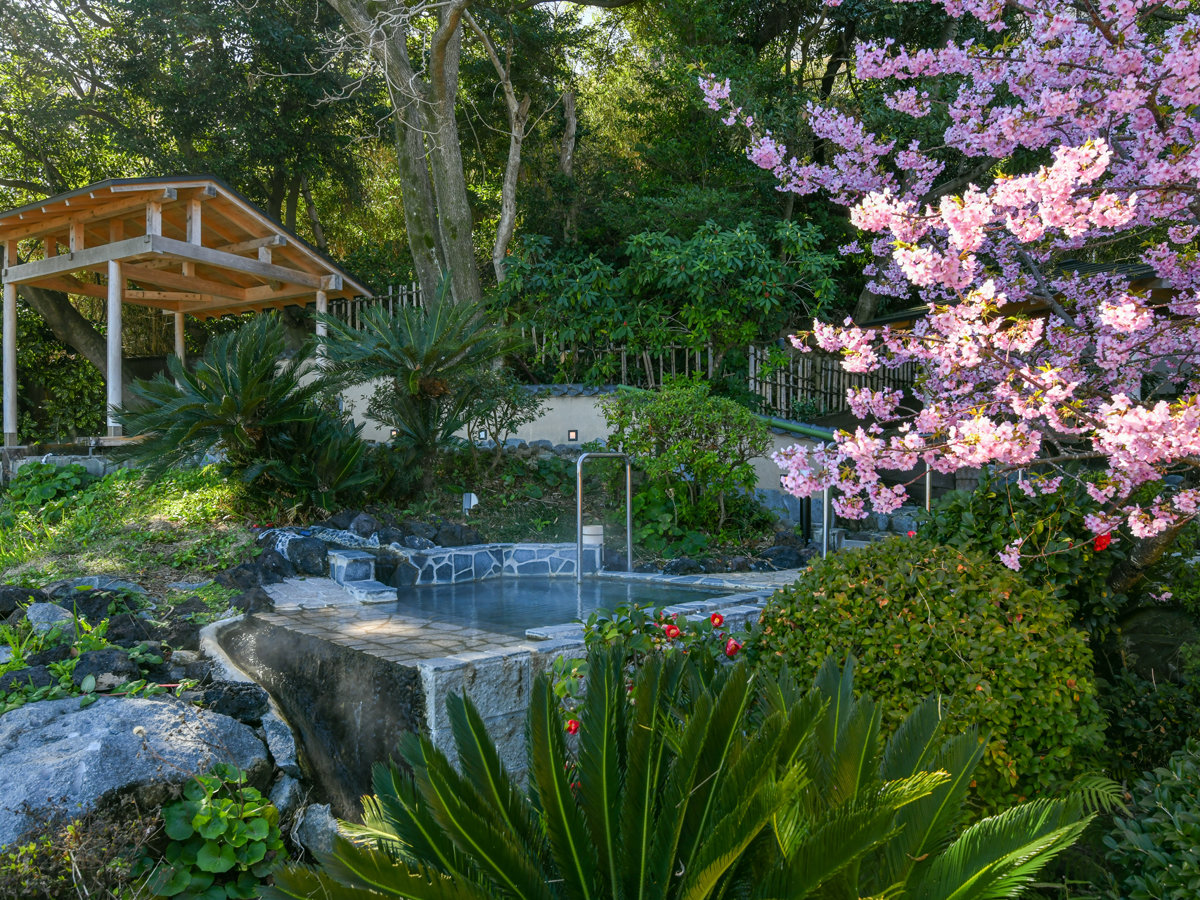 �y�ɊC/�I�V���C�E�嗁��z�t�͍������Ȃ���������ƐZ���鎖���o���܂��B