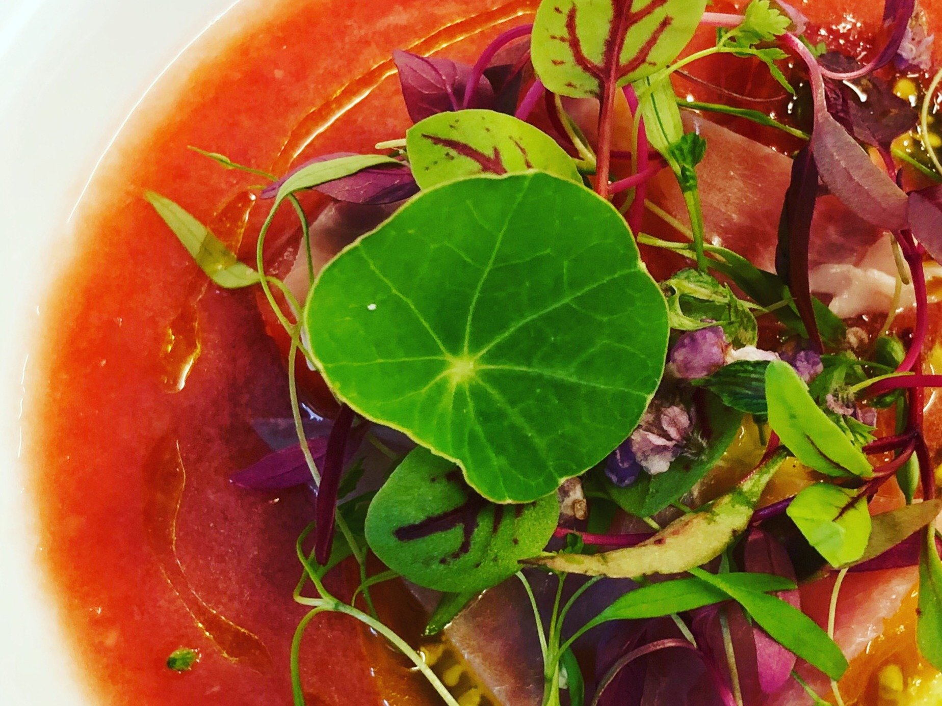 �R�ǎY��ƏF�{�Y�Ė�؂̃K�X�p�`��