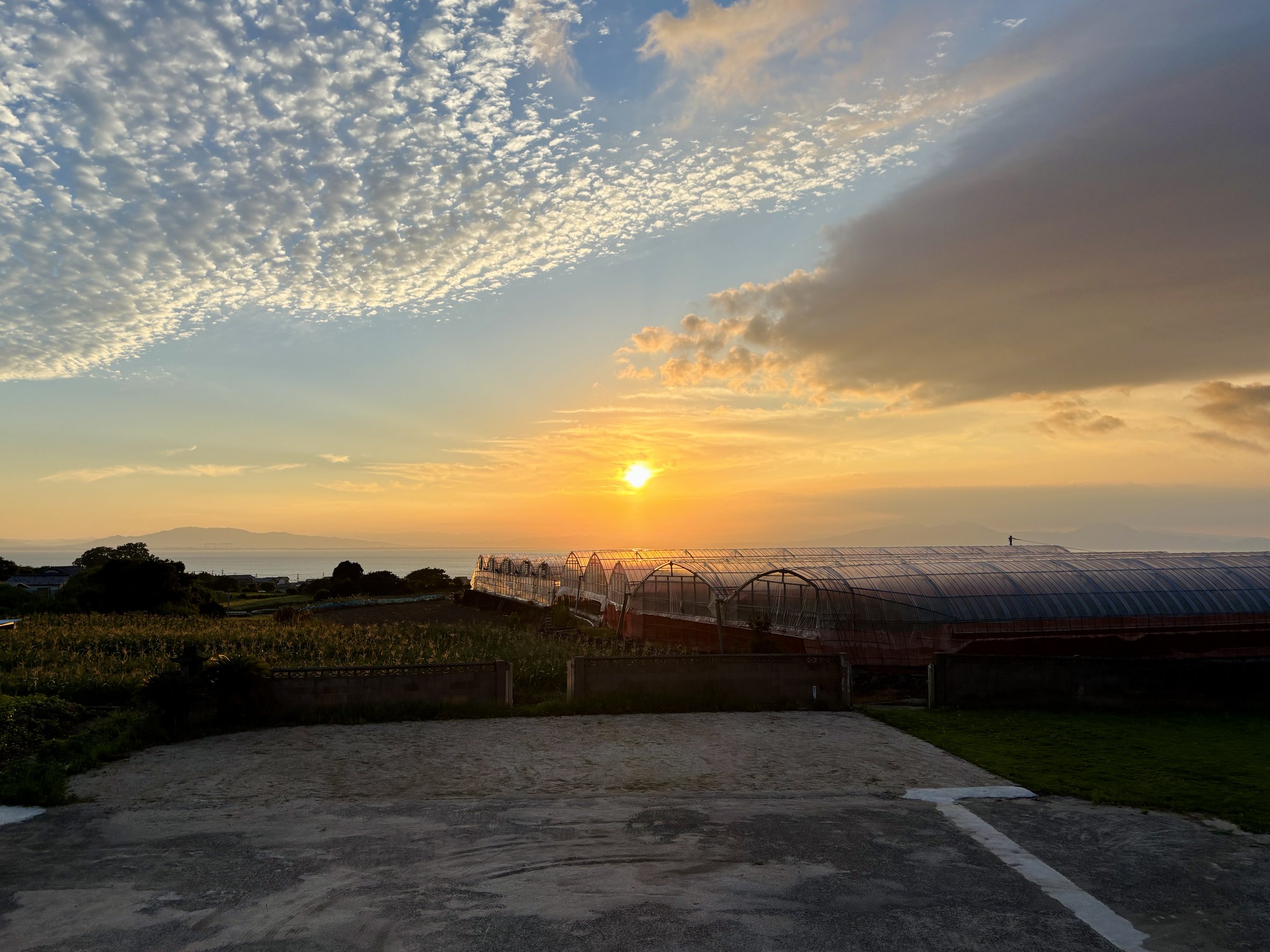 �ڂ̑O�̗L���C�ƁA�������珸�钩���͐�i�ł��B