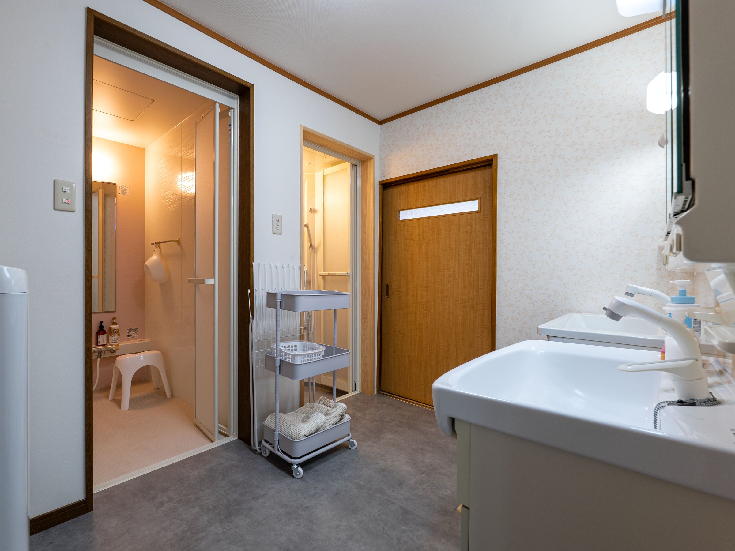 �P�K�����i�V�����[���j�E���ʏ�