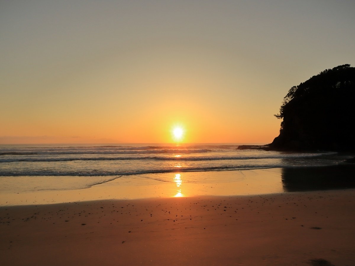 y2019NʊOPENzɓEc̎RƗZ@΃l낷Aɂ쉢ze