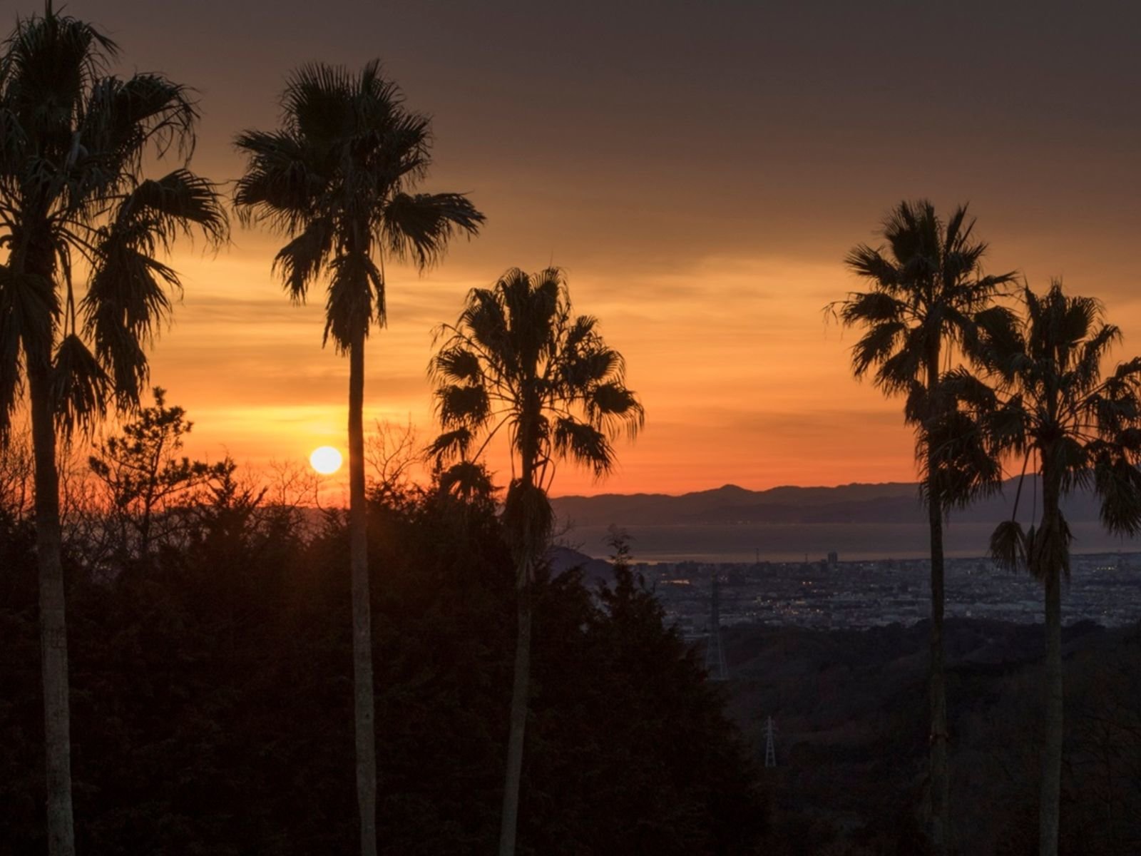 ��������̗[�z