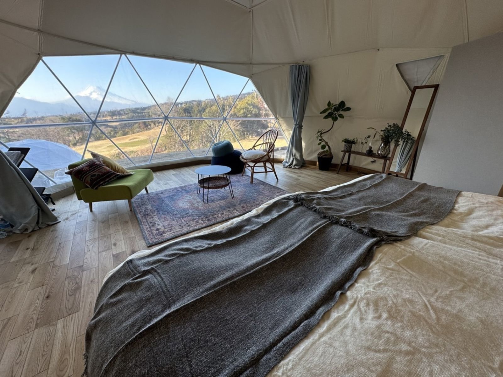 �h�[���e���g����̒���