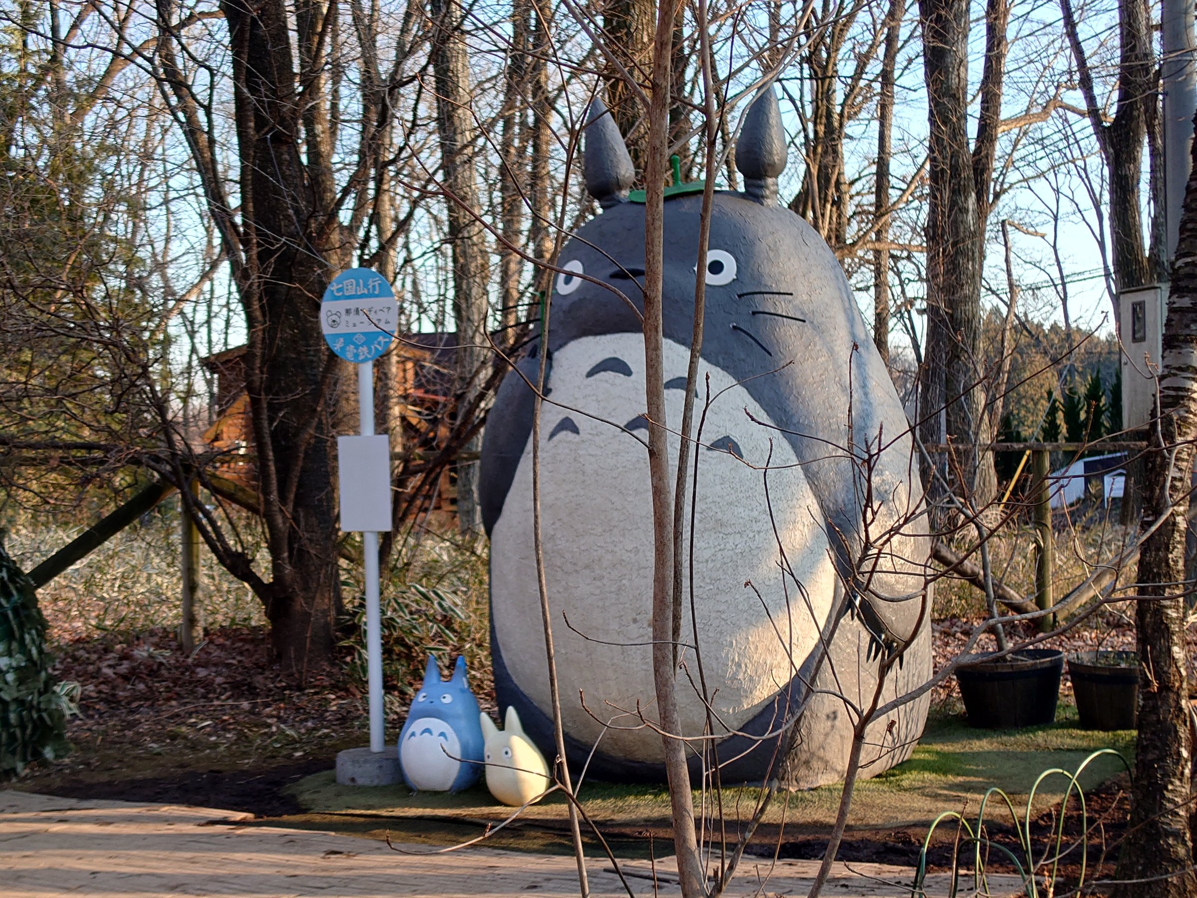 �g�g���͖������邩�ȁH60�b�ȓ��Ńg�g���ɉ�܂��I�����I