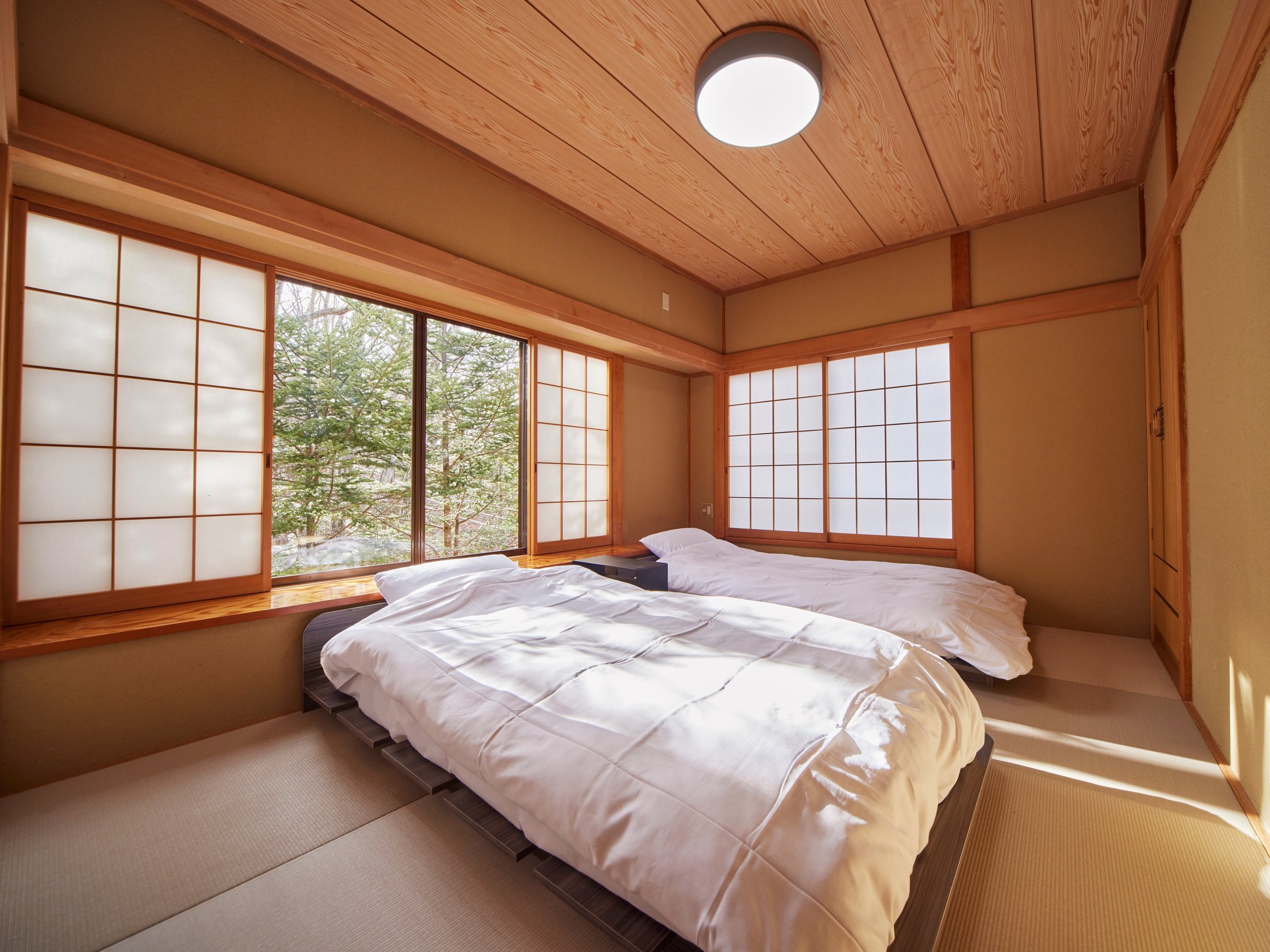 �V���O���x�b�h2��