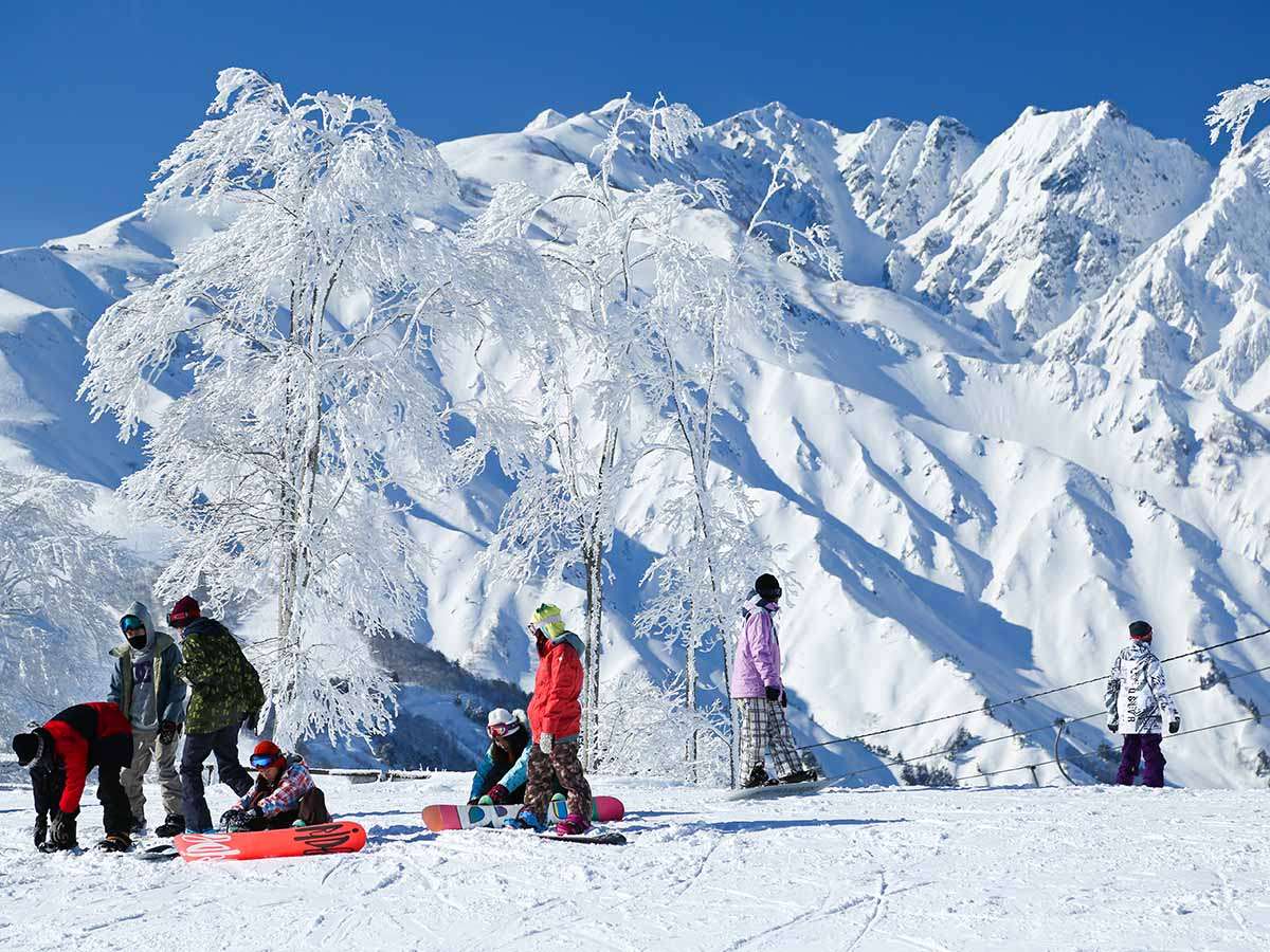 ���n��x�X�m�[�t�B�[���h