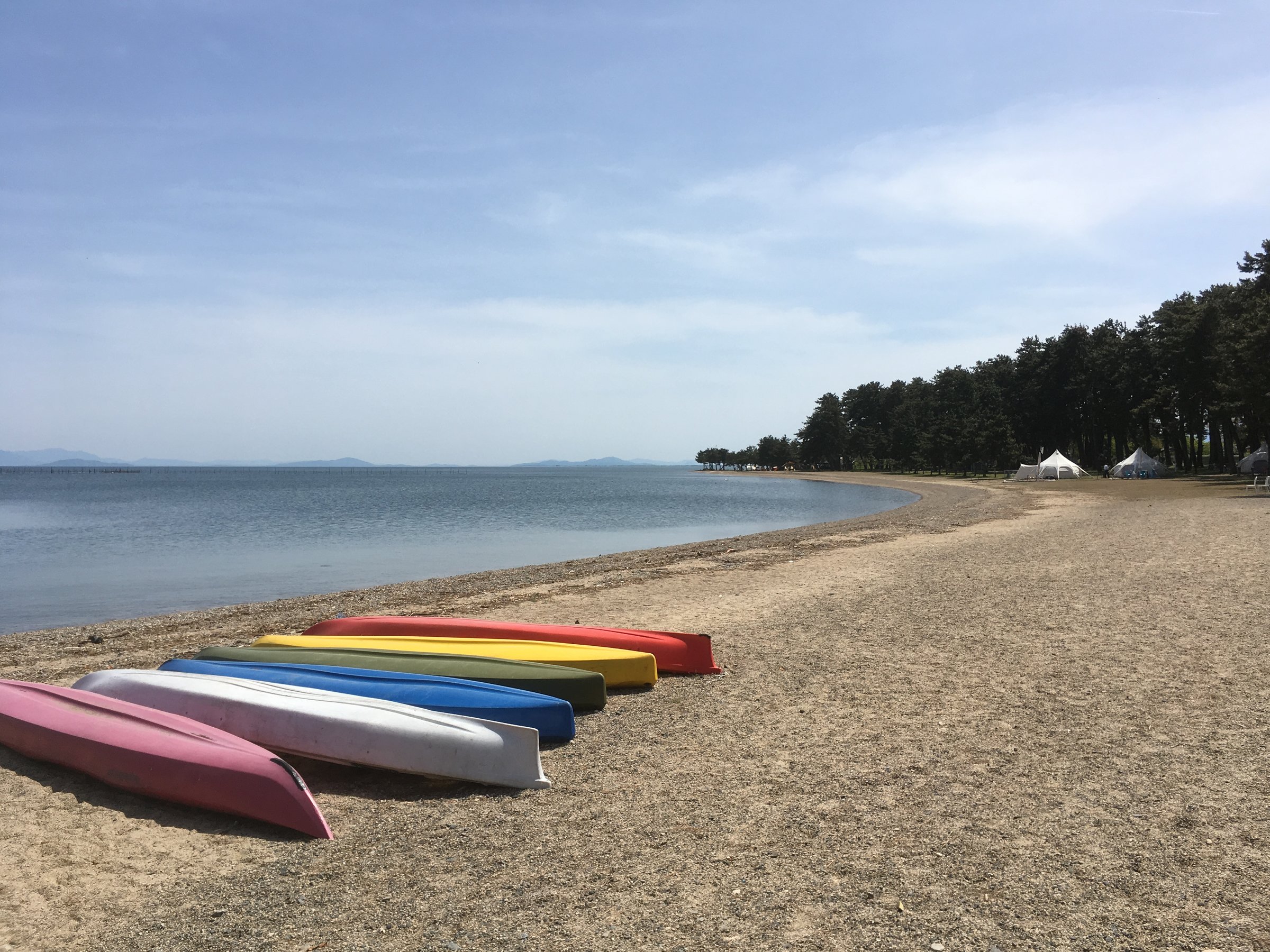 �����Ă����̔��i�΂� ���R�ɗV��Œ����܂�