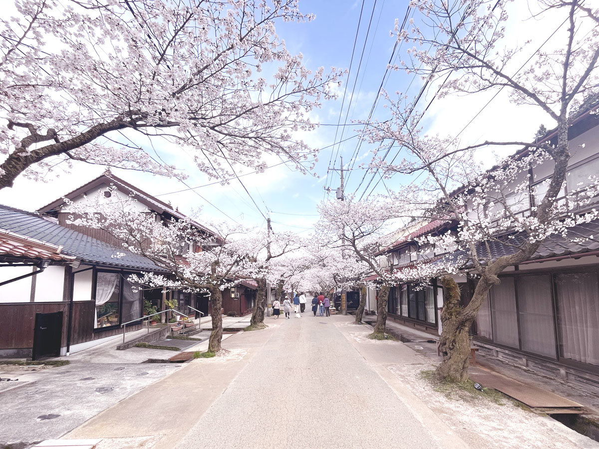 �y���ӊό��z�^��S�V�����̂���������܂ł͎ԂŖ�16���I3��������4�����{���͖��N���킢�܂��B