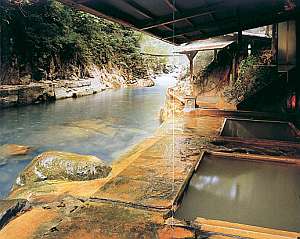 【栃木県:塩原・矢板・大田原・西那須野】明賀屋本館