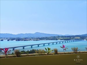 �z�e������]�ތÉF���勴