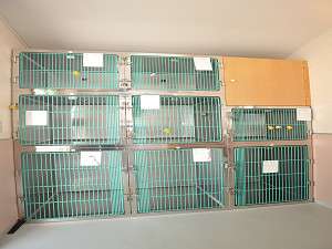ペットハウス内