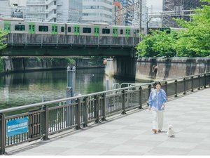 目黒川沿いを愛犬とお散歩