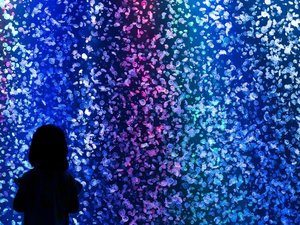 【当館から車で約20分】世界最大級のクラゲ展示で知られる人気の水族館「加茂水族館」