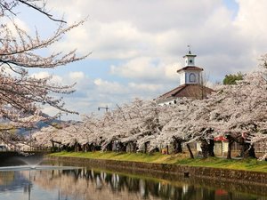 【当館から車で約5分】桜の名所として知られ、歴史ある庭園がある(春は桜)「鶴岡公園」