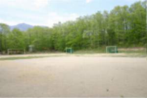 �t�b�g�T���A�\�t�g�{�[�����\�ȃO�����h