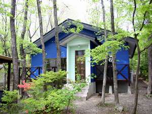 ���R�Ɉ͂܂ꂽ�ݕʑ��Ŗ�����悤�I