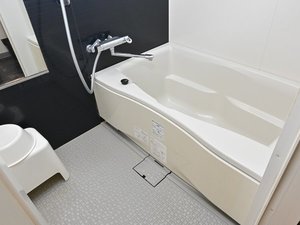 �c�C�����[���̓o�X�E�g�C�����Z�p���[�g�ł�