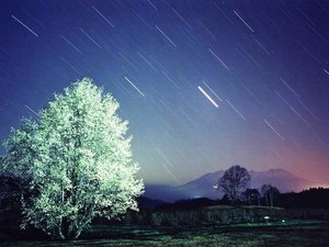 �v�`���]�[�g�@�A�s�A�̎{�ݎʐ^1