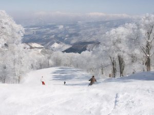 【野沢温泉スキー場】