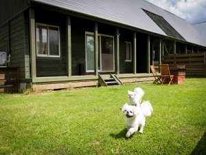 【福島県白河のグランピングホテル】エンゼルフォレスト白河高原のグランピングテント