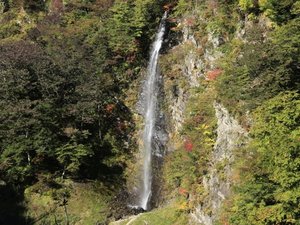 �y��ڂ̑�z���e�䂩�琅���̂���������炵���悤�ȑꂪ���߂��܂��B