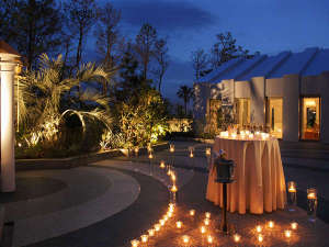 �y�x���K�[�f���z���}���`�b�N�ȋ�Ԃ����o���܂�