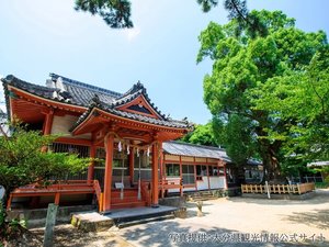 【八幡奈多宮】奈多海岸のほぼ中央に鎮座。ご利益は縁結び・恋愛成就等・・・当館から車で25分