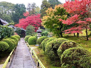 京都をおもいっきり楽しみたい!というあなたにおススメ!