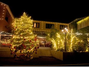 HOTEL PARADISO̎{ݎʐ^1