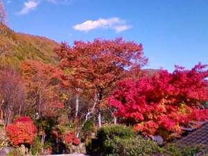 秋の山々紅葉は10月20日ごろから11月中旬の頃まで