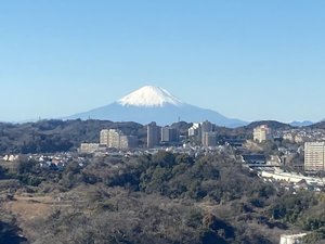 客室山側からの景観 客室は全て高層階です。確約プラン以外、山側海側の景観はお選びできません。