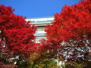 divXzeY][cj̎{ݎʐ^1