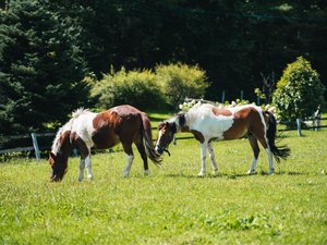 �o�E���R���N�V�����̎ʐ^