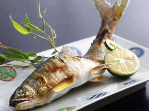 �y���̉��Ă��z���炩�Ȑ����ň�������́g�z�b�N�z�N�h�̐g�������Ղ�l�܂��Ă܂��B