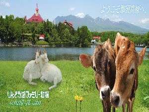 ���ǂ��΂ł́A���܂��܂ȑ̌��R�[�i�[������̂ŁA��l�œߐ{�̎v���o����