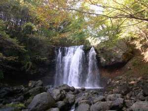 ���y �����̑� �z