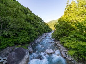 �L���Ȏ��R�Ɉ͂܂ꂽ���Ő[�ċz