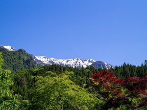 �R�X��]�ލō��̃��P�[�V����