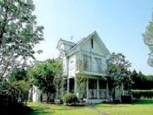 �y�F�{��:���h�z���������B��h����